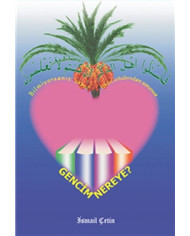 Gönlümde Hikmet Pınarının Arısı