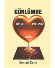 Gönlümde Hikmet Pınarının Arısı