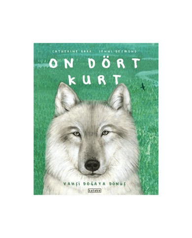 On Dört Kurt (Ciltli)