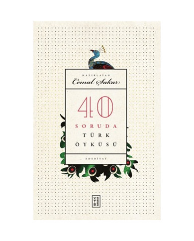 40 Soruda Türk Öyküsü