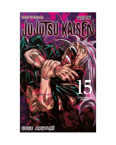 Jujutsu Kaisen 15. Cilt